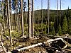 DSC05899.jpg
